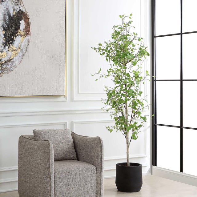 Traditional Boreal Potted Birch Tree For Sale - Image 3 of 7