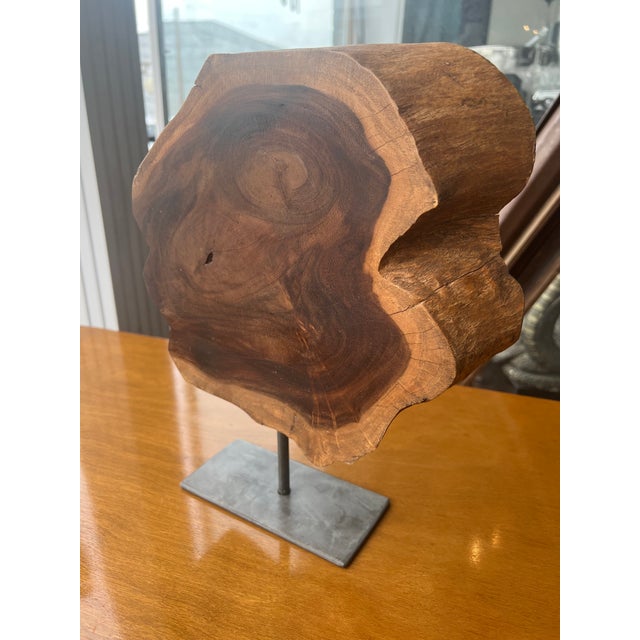 Walnut Slab Sculpture on a Metal Display Stand showing the Natural Wood Grain.