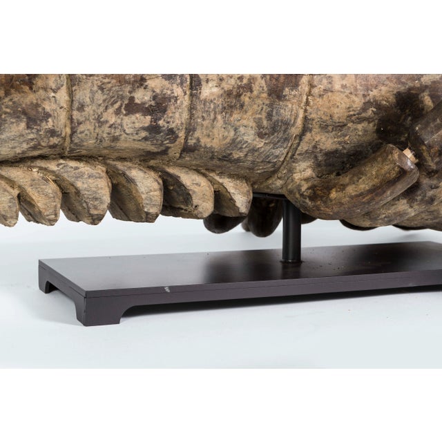 This is a very unusual wood carved sculpture of either a lobster or shrimp. The lobster is mounted on a custom iron stand...