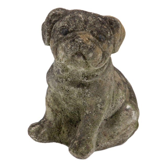 Vintage English Bulldog or Pug Dog Stone Garden Statue, English Mid 20th C. For Sale