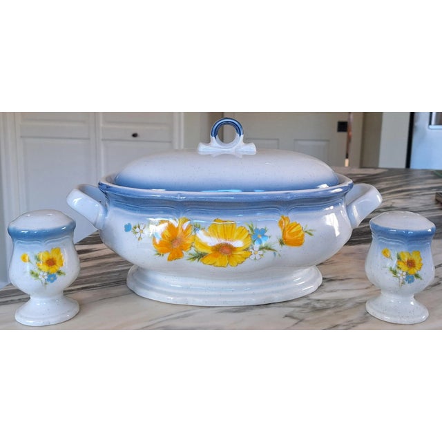 Ceramic MOS251970's Mikasa Country Club Amy Pattern Covered Casserole With Salt & Pepper - A Trio For Sale - Image 7 of 7