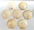 Contemporary Vintage Natural Scallop Shell Serving Dishes, Coastal Set of 7 For Sale - Image 3 of 12