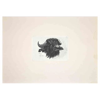 After Charles Coleman, The Buffalo, 1992, Original Etching For Sale