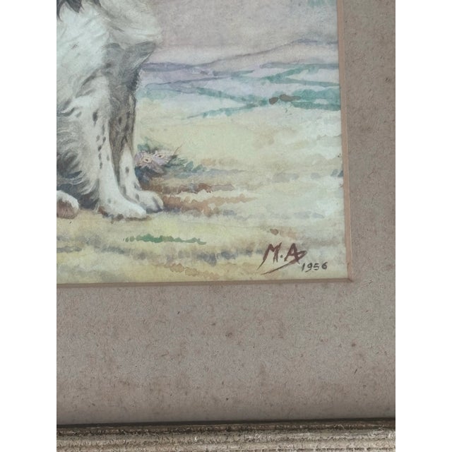 An original mid 20th century English watercolour depicting a charming English Springer Spaniel, captured in a moment of...