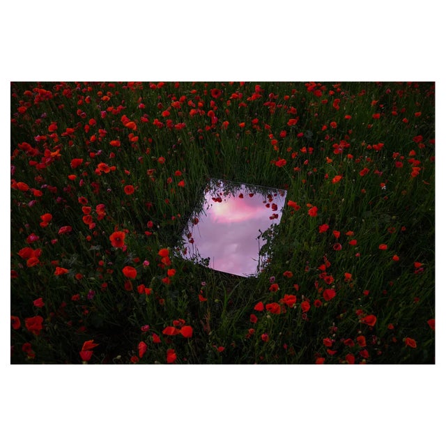 Artur Debat, Mirror Reflecting the Sunset Sky Between Red Poppies Field During Spring in Spain, Photograph For Sale