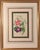 Lessons From the Vegetable World: Robert Mackenzie Stark Botanical Prints 1858 For Sale - Image 9 of 13