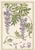 Atelier Aria Lumae Eugene Grasset Maurice Pillard Verneuil Art Nouveau Botanical Specimen Grid Board Print 60 X 40 For Sale - Image 11 of 17