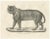 Majestic Striped or Royal Tiger, 1836, Lithograph For Sale - Image 10 of 10
