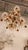 1920s French Orange and Clear Crystal Chandelier For Sale - Image 11 of 12