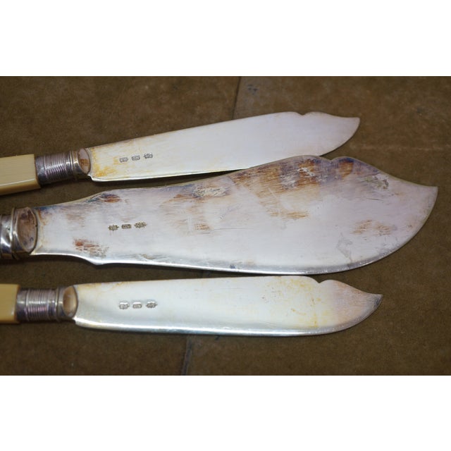 Antique Victorian Silverplate Celluloid Fork Knife Fish Serving Set With Box - 27 pcs For Sale - Image 13 of 18