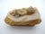 Figurative Anri Italy Karl Kuolt Baby Jesus Nativity Manger Christmas Figurine For Sale - Image 3 of 8