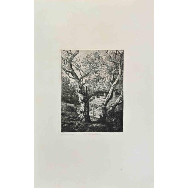 Pontus Cinier, Foret De Fontainebleau, Etching, 1870s For Sale