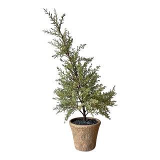 Pottery Barn Faux Artificial Cedar Cypress Evergreen Potted Plant Tree For Sale