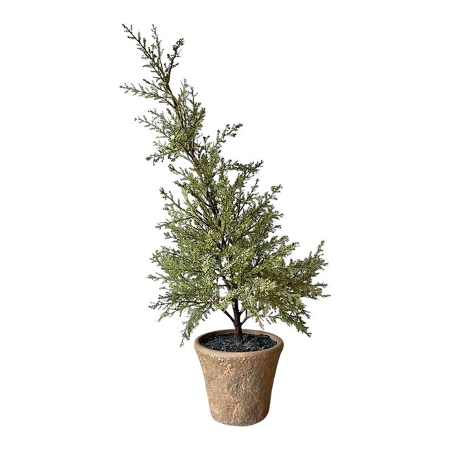 Pottery Barn Faux Artificial Cedar Cypress Evergreen Potted Plant Tree For Sale