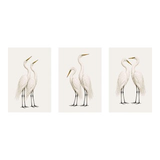 Crane Studies 1 - 3, Neutral Coastal Bird Art Triptych, 16" X 24" For Sale