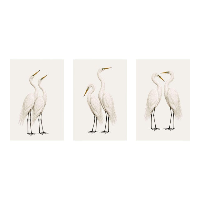 Crane Studies 1 - 3, Neutral Coastal Bird Art Triptych, 16" X 24" For Sale
