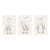 Crane Studies 1 - 3, Neutral Coastal Bird Art Triptych, 16" X 24" For Sale