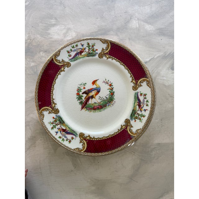 Myott Son & Co. 1940s Myott Chelsea Bird Dinner Plates Made in England Burgundy Transferware - Set of Eleven (11) 9 Inch For Sale - Image 4 of 12
