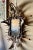 Wood Late 19th Century Large Antler Mirror, Rustic Trophy-Style Wall Mirror For Sale - Image 7 of 8