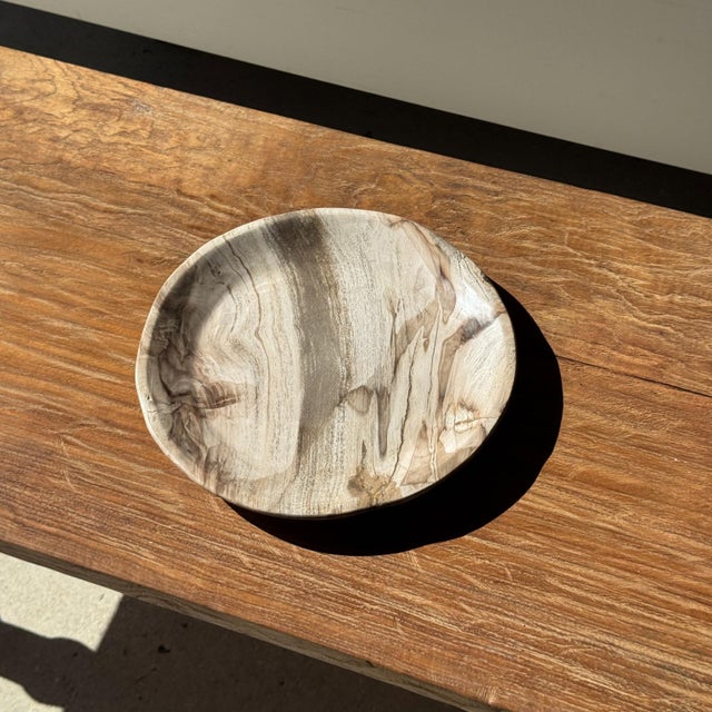 Trinket Dish in White Striped Grey Petrified Wood, 1980s For Sale - Image 4 of 7