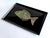 Mid 20th Century Couroc of Monterey Tray With Brass, Turquoise and Stone Inlay Fish For Sale In Miami - Image 6 of 15