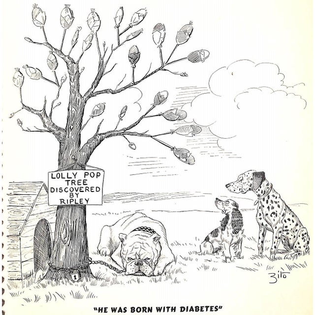 "More Dogs" 1938 Zito (Inscribed) For Sale - Image 9 of 12