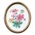 Antique Oval Framed Hand-Painted Geranium Study on Linen For Sale