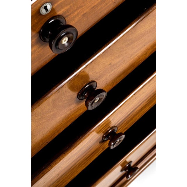 Scottish Chest of Drawers in Flamed Mahogany For Sale - Image 12 of 18