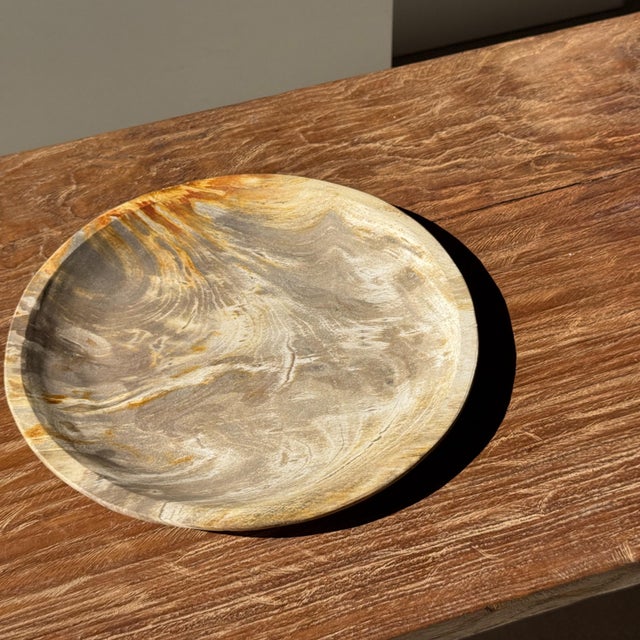 Light Beige Petrified Wood Circular Tray, 1980s For Sale - Image 9 of 11