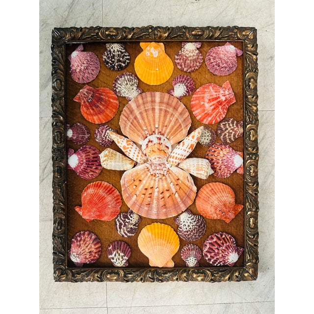 This delightful antique shellwork plaque showcases a beautifully arranged floral-inspired composition crafted from natural...
