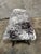1970s Steer Horn Bench Cowhide Seat Nailhead Western Ranch Longhorn Speckled 48in For Sale - Image 10 of 12