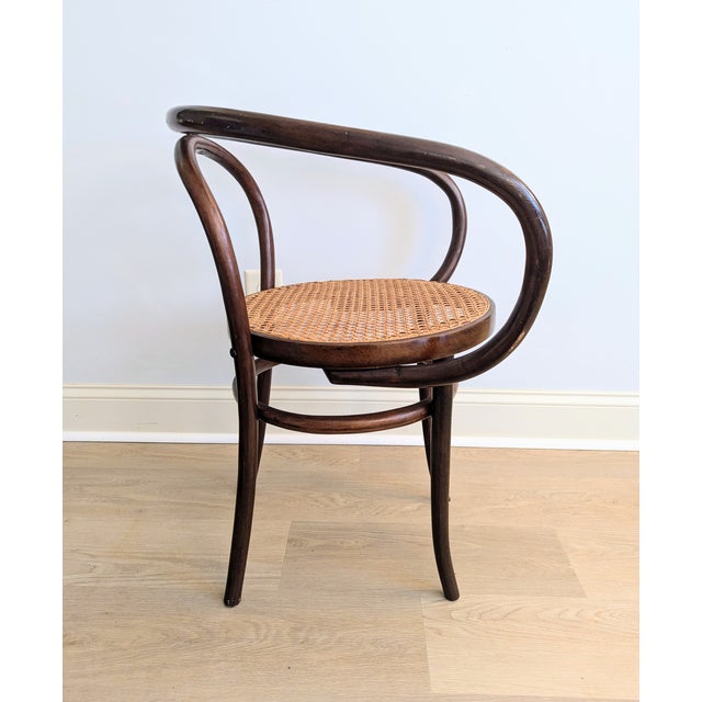 Vintage Gerdau Bentwood Chair Caviuna Wood & Cane Seat in the Style of Thonet For Sale In Raleigh - Image 6 of 14