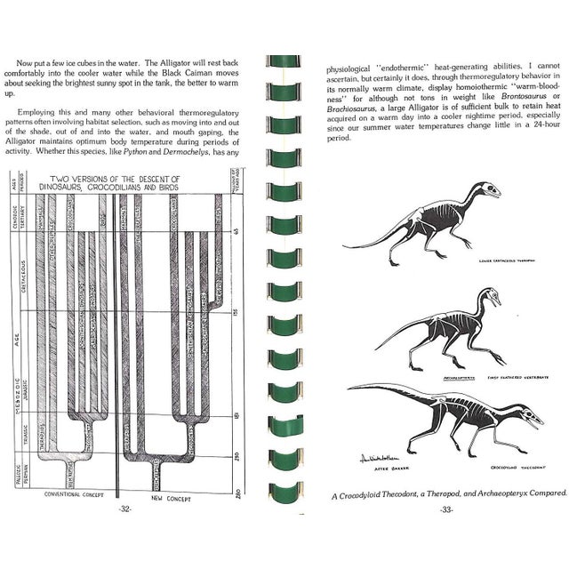 "Jaws, Too: The Story of Sanibel's Alligators and Other Crocodilians" 1981 Campbell, George R. For Sale - Image 4 of 10