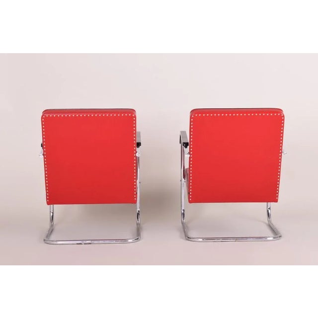 Set of Art Deco Armchairs in Chrome & Leather attributed to Anton Lorenz for Thonet, Germany, 1930s For Sale - Image 3 of 7