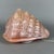 Metal Pink Murano Glass Shell Table Lamp from Mazzega, 1970s For Sale - Image 7 of 18