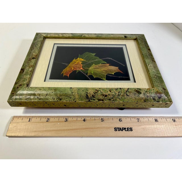 Wood Vintage Booker Morey Norway Maple Leaves Signed Shadow Box Frame # 7-5692 For Sale - Image 7 of 7