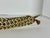 African Algerian Berber Flyssa Dagger: Cowrie Shell Sheath, Etched Steel Blade For Sale - Image 3 of 10
