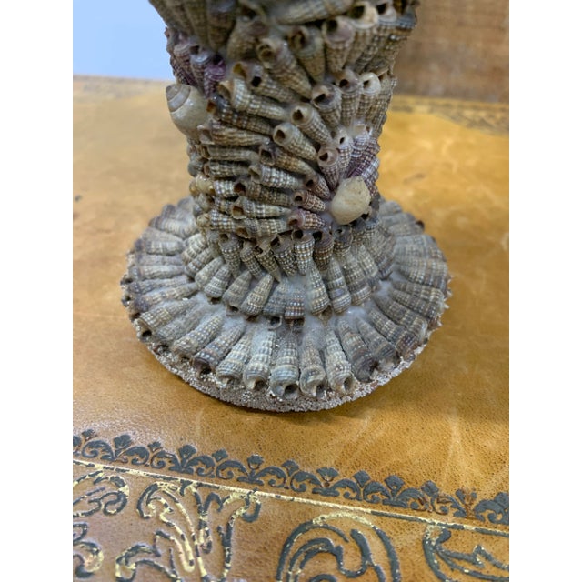 Ceramic 1920s French Decorative Terra Cotta Vase Encrusted With Sand & Tiny Sea Shells For Sale - Image 7 of 10