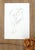 Realism Original Signed Figure Drawing - Female Dancer For Sale - Image 3 of 4