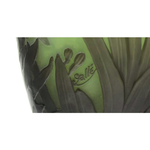 Emile Galle Late 19th Century Original Emile Gallè Vase Decorated With Hyacinths For Sale - Image 4 of 6