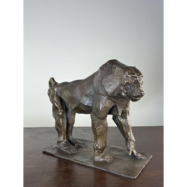 Bronze Baboon in the style of Rembrandt Bugatti for Bubian, 2000s For Sale - Image 13 of 13