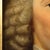 Dutch Artist, Portrait of Petrus Camper, 1700s, Oil on Panel For Sale - Image 5 of 11