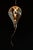 Transparent Vintage Balloon Pendant From Chimera Watts For Sale - Image 8 of 9