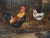 Edgar Hunt, Farm Yard, 1980s, Oil For Sale - Image 5 of 9