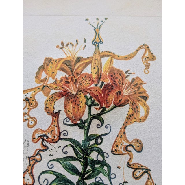 Salvador Dali, Tiger Lilies, 1972, Hand-Signed Original Etching in Colors, 1972 For Sale - Image 8 of 12