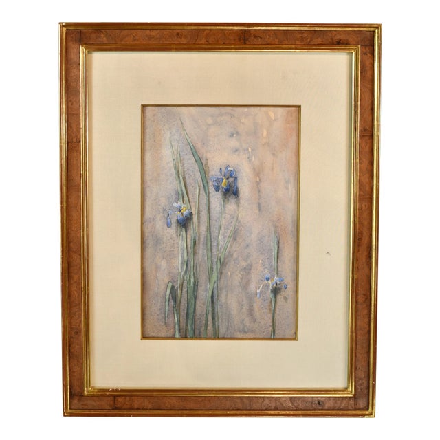 Original Vintage Thomas Daly Iris Flower Watercolor Painting For Sale
