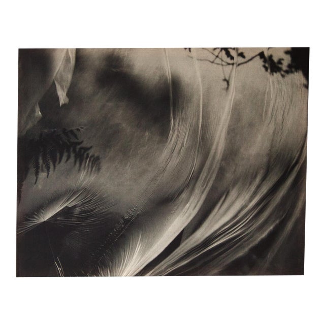 Ugne Pouwell, Wind Stretched Daydream, 2022, Photography For Sale