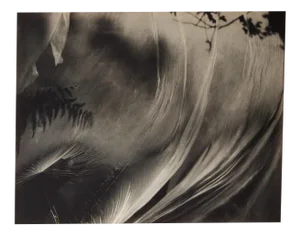 Ugne Pouwell, Wind Stretched Daydream, 2022, Photography