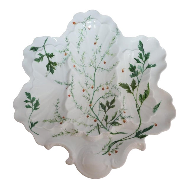 Vintage French Limoges Botanical Oyster Serving Plate For Sale
