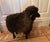 Lalanne style black wood sheep with leather ears and black and brown sheepskin.